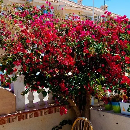 Apartament Bungalow Rocinante Torrevieja
